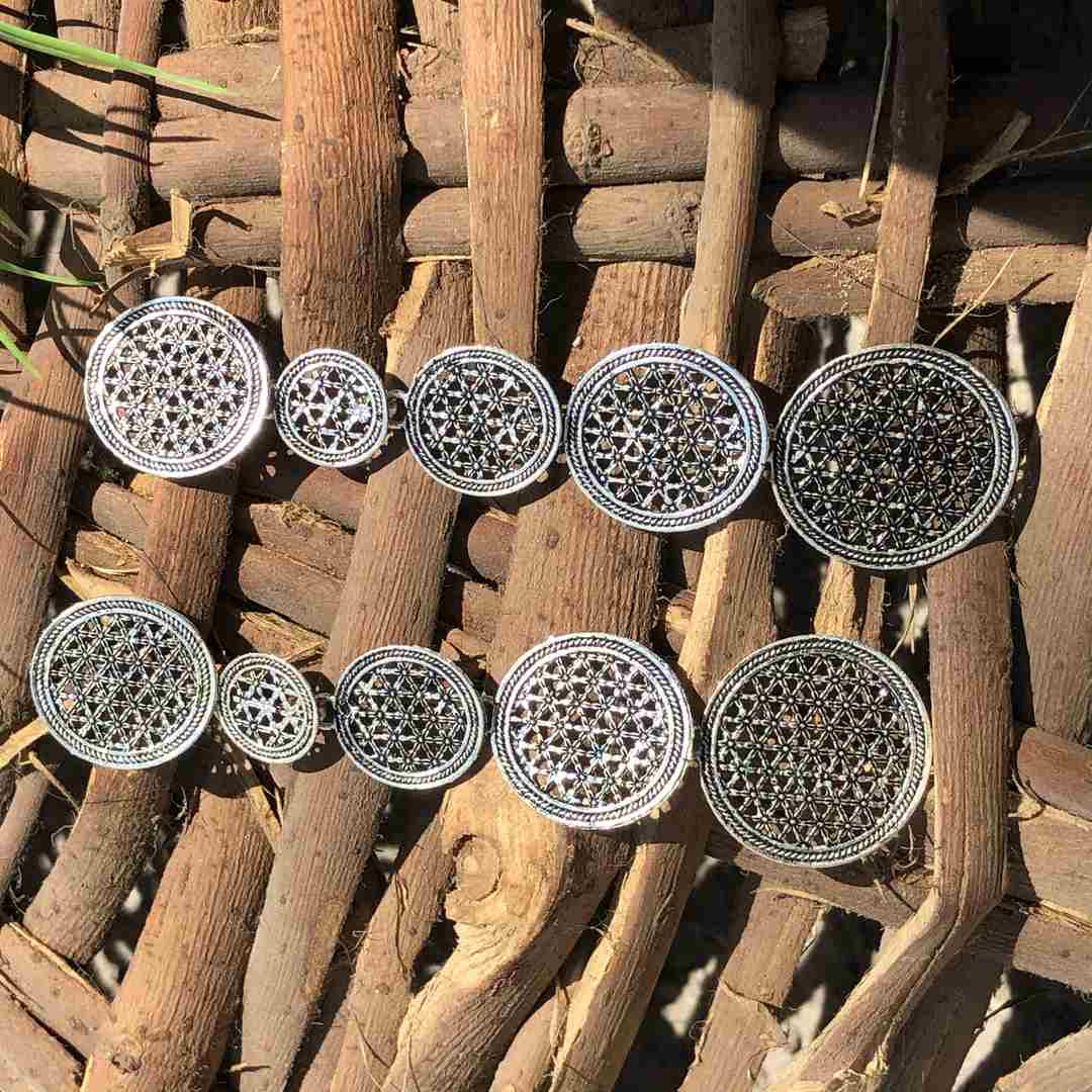LARQ JEWELS Oxidized Silver Concentric Circle Metal Ethnic Long Dangle Drop Earrings for Women